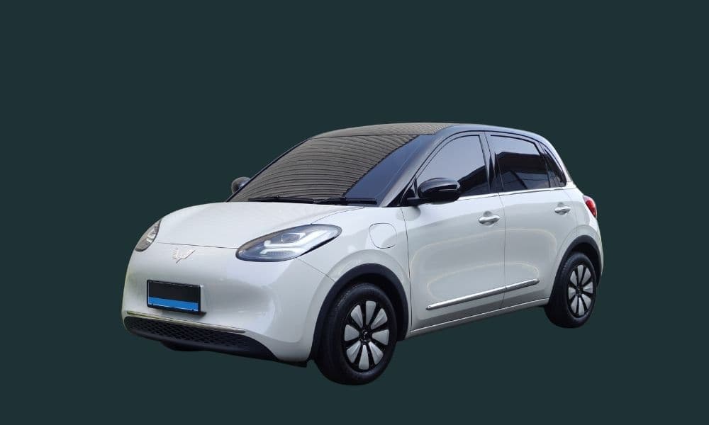 Wuling Binguo