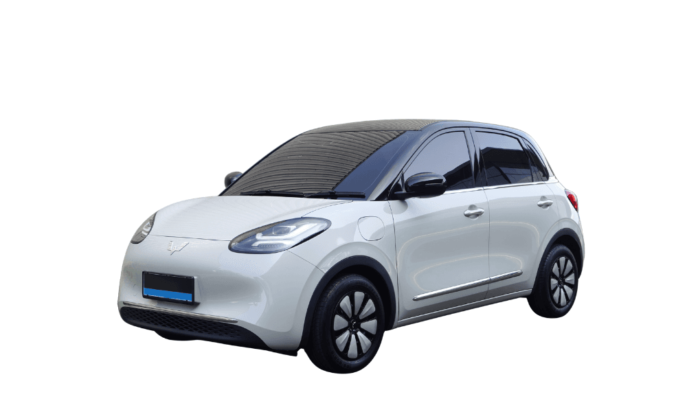Wuling Binguo